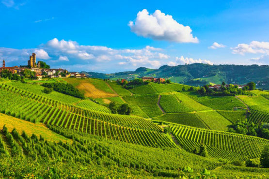 MILANO LIMOUSINE: tours sulle Langhe